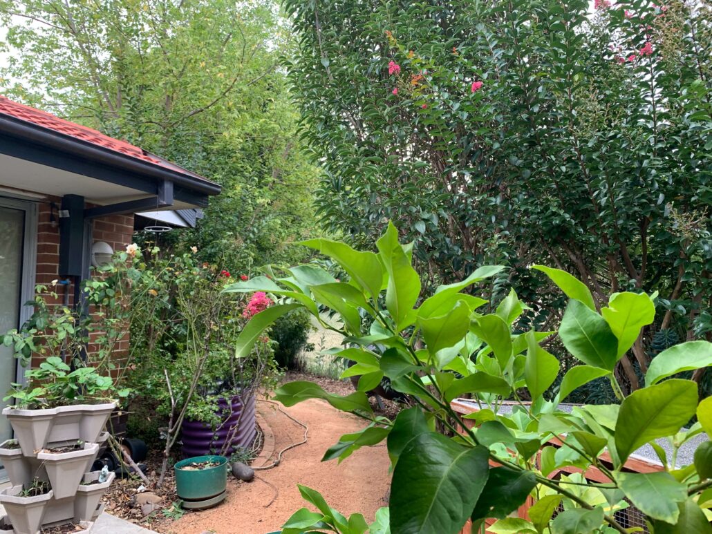 Supported Independent Living Disability accommodation